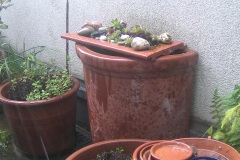 20240506_DSCF0032_1