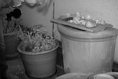 20240507_DSCF0163_1