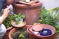 DSCF0097_1